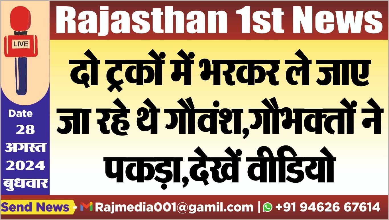 You are currently viewing दो ट्रकों में भरकर ले जाए जा रहे थे गौवंश,गौभक्तों ने पकड़ा,देखें वीडियो