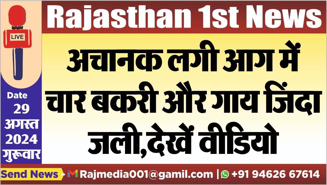 You are currently viewing अचानक लगी आग में चार बकरी और गाय जिंदा जली,देखें वीडियो