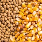 11 नमूने पाए गए अमानक,बिक्री पर लगाई रोक