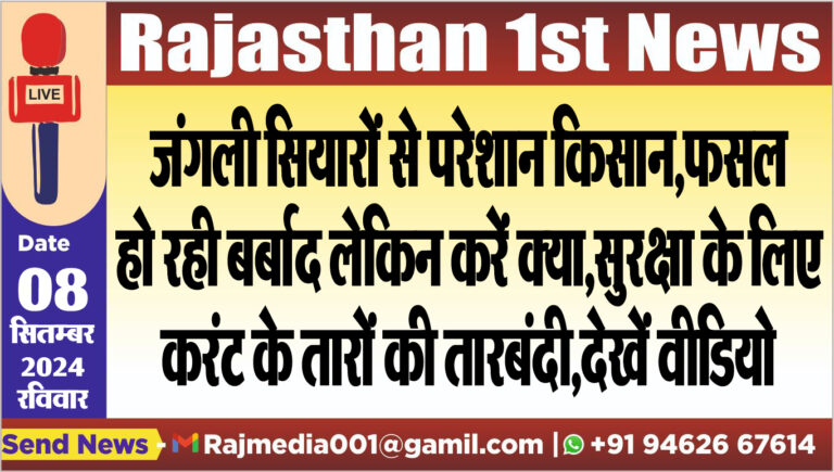 Read more about the article जंगली सियारों से परेशान किसान,फसल हो रही बर्बाद लेकिन करें क्या,सुरक्षा के लिए करंट के तारों की तारबंदी,देखें वीडियो