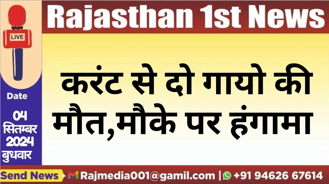 करंट से दो गायो की मौत,मौके पर हंगामा