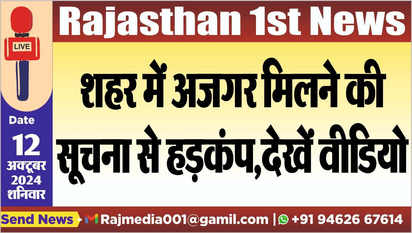 You are currently viewing शहर में अजगर मिलने की सूचना से हड़कंप,देखें वीडियो
