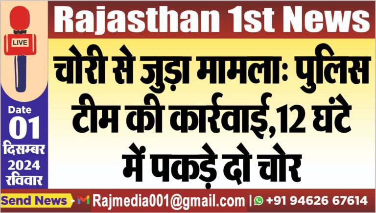 Read more about the article चोरी से जुड़ा मामला: पुलिस टीम की कार्रवाई,12 घंटे में पकड़े दो चोर