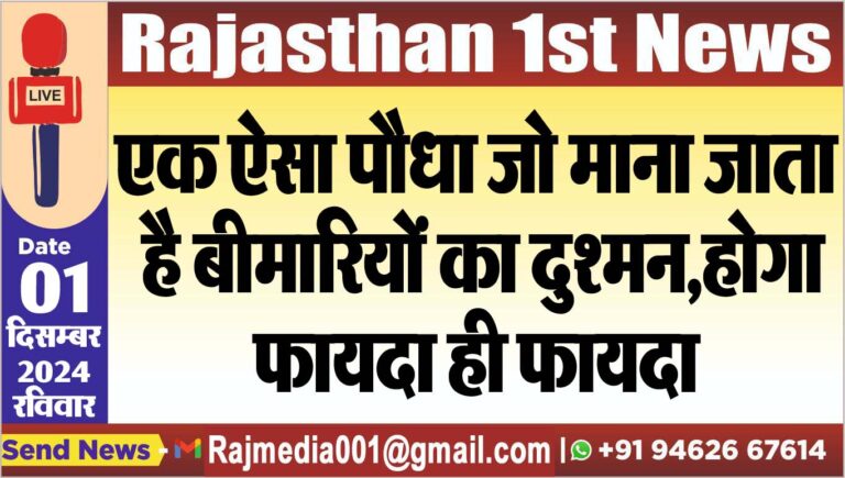 Read more about the article एक ऐसा पौधा जो माना जाता है बीमारियों का दुश्मन,होगा फायदा ही फायदा