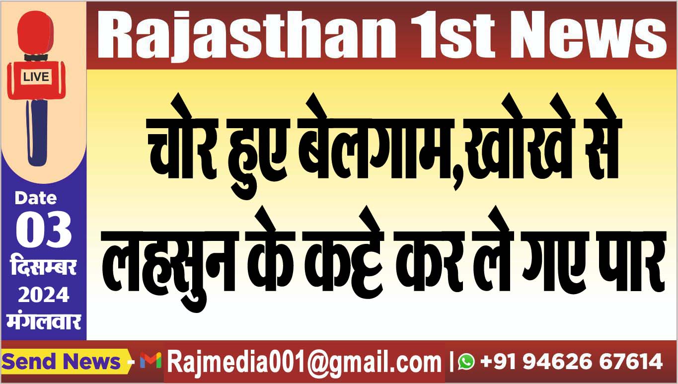 You are currently viewing चोर हुए बेलगाम,खोखे से लहसुन के कट्टे कर ले गए पार