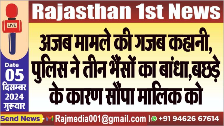 Read more about the article अजब मामले की गजब कहानी,पुलिस ने तीन भैंसों का बांधा,बछड़े के कारण सौंपा मालिक को