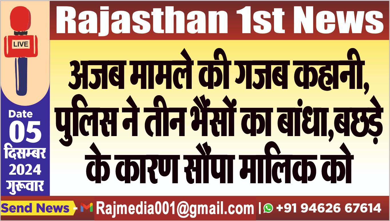 You are currently viewing अजब मामले की गजब कहानी,पुलिस ने तीन भैंसों का बांधा,बछड़े के कारण सौंपा मालिक को