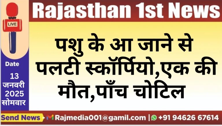 Read more about the article पशु के आ जाने से पलटी स्कॉर्पियो,एक की मौत,पाँच चोटिल