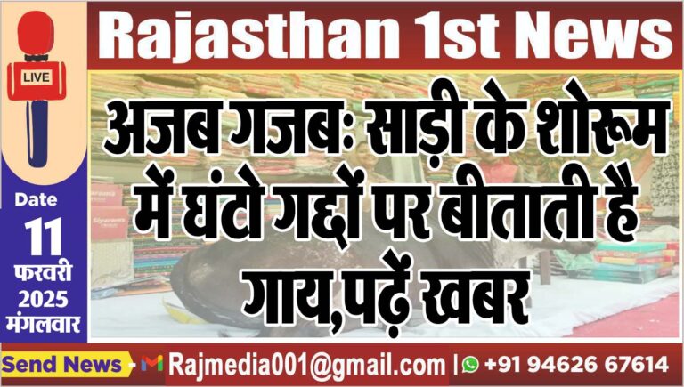 Read more about the article अजब गजब: साड़ी के शोरूम में घंटो गद्दों पर बीताती है गाय,पढ़ें खबर