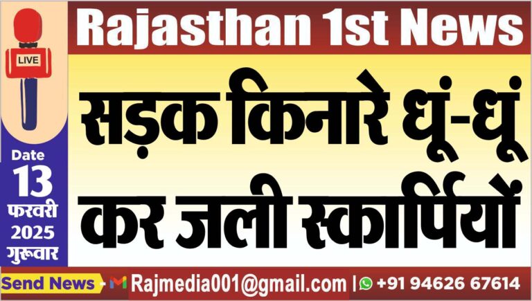 Read more about the article सड़क किनारे धूं-धूं कर जली स्कार्पियों,देखे वीडियो