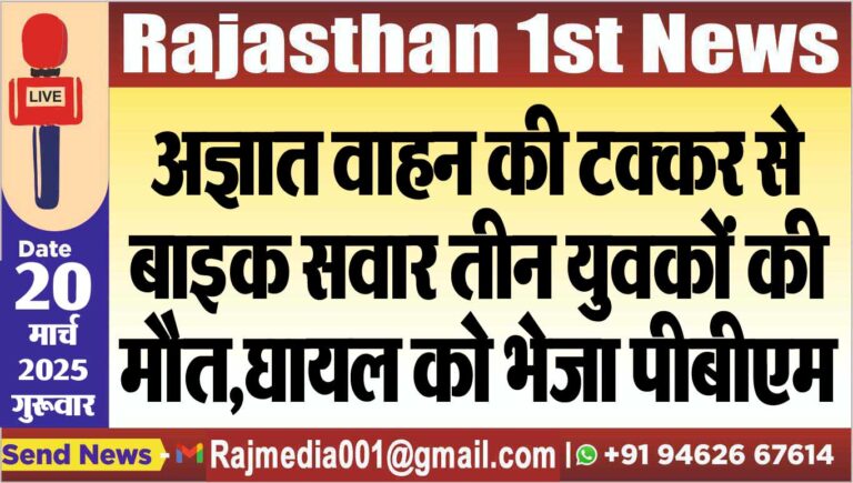 Read more about the article अज्ञात वाहन की टक्कर से बाइक सवार तीन युवकों की मौत,घायल को भेजा पीबीएम