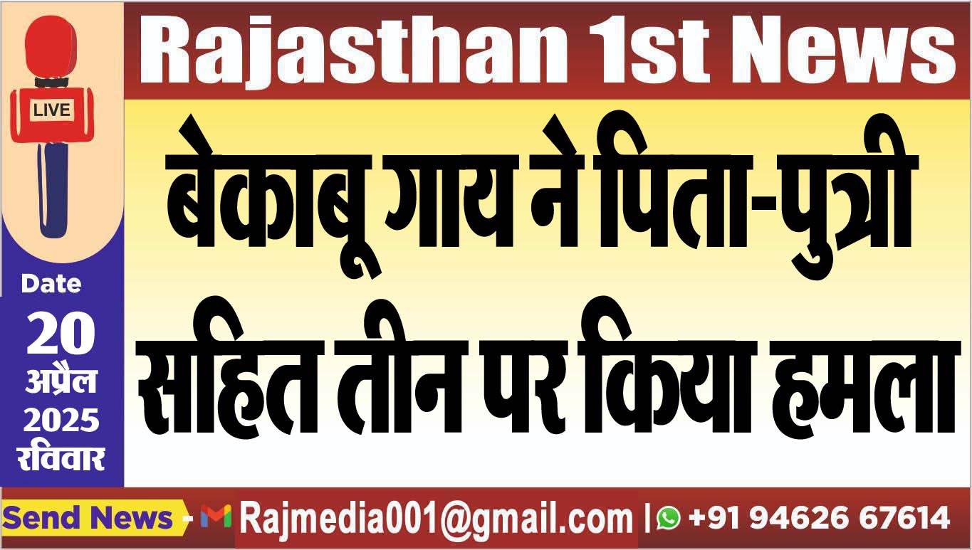 You are currently viewing बेकाबू गाय ने पिता-पुत्री सहित तीन पर किया हमला-Bikaner News 