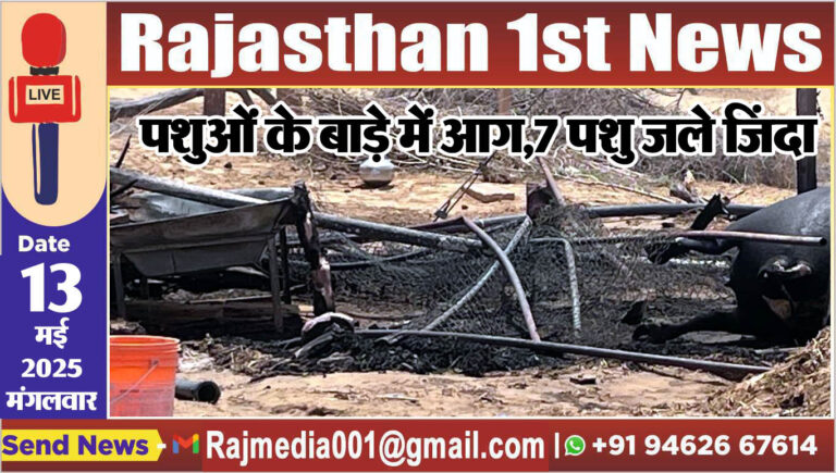 Read more about the article पशुओं के बाड़े में आग,7 पशु जले 