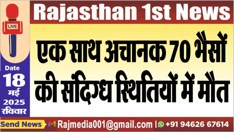 Read more about the article एक साथ अचानक 70 भैसों की संदिग्ध स्थितियों में मौत