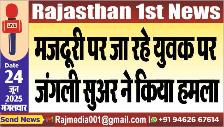 Read more about the article मजदूरी पर जा रहे युवक पर जंगली सुअर ने किया हमला