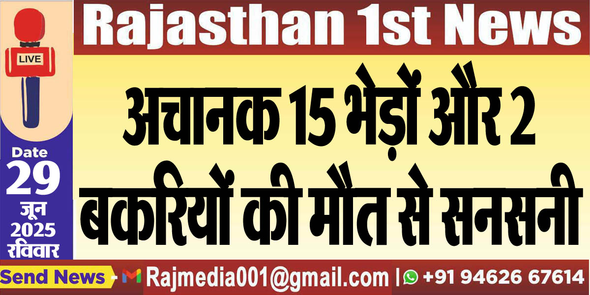 You are currently viewing अचानक 15 भेड़ों और 2 बकरियों की मौत से सनसनी-Bikaner News 