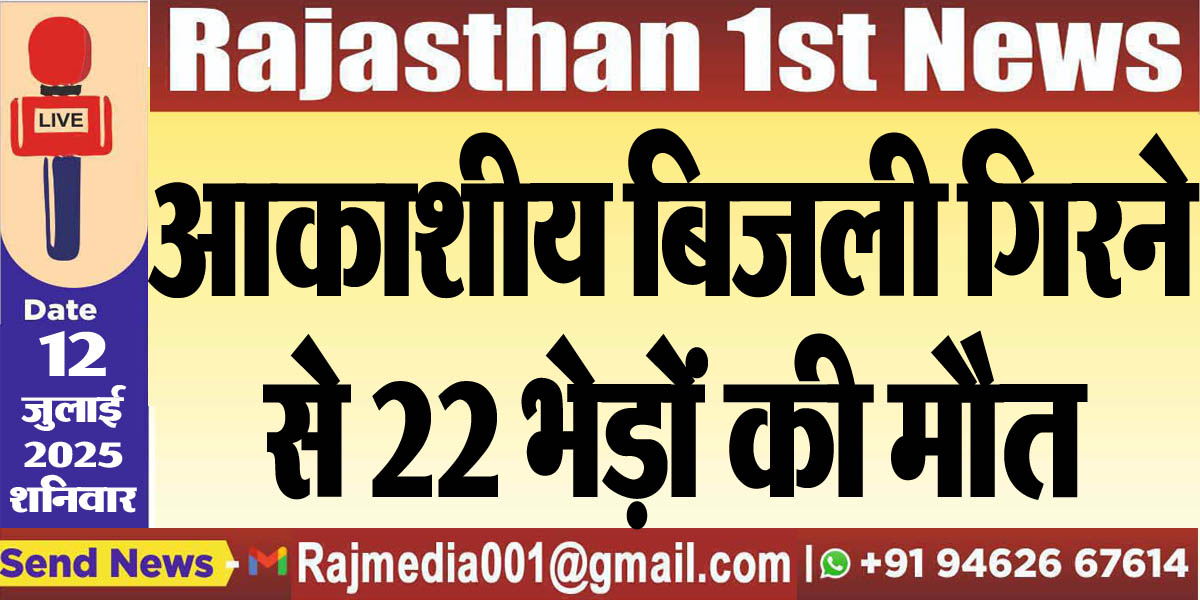You are currently viewing आकाशीय बिजली गिरने से 22 भेड़ों की मौत-Bikaner News 