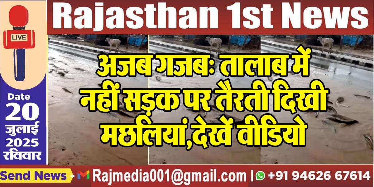 You are currently viewing अजब गजब: तालाब में नहीं सड़क पर तैरती दिखी मछलियां,देखें वीडियो-Rajasthan News