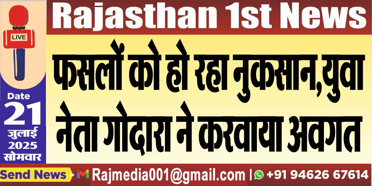 You are currently viewing फसलों को हो रहा नुकसान,युवा नेता गोदारा ने करवाया अवगत