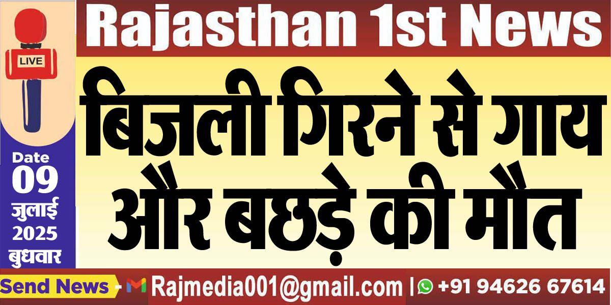Read more about the article बिजली गिरने से गाय और बछड़े की मौत-Bikaner News 