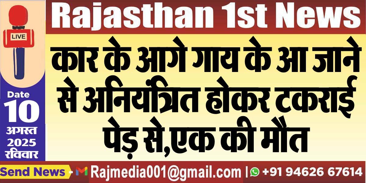 कार के आगे गाय के आ जाने से गाड़ी अनियंत्रित होकर टकराई पेड़ से,एक की मौत-Bikaner News 