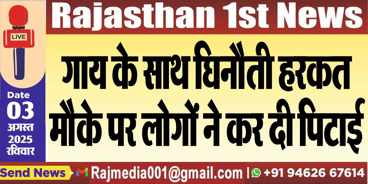 गाय के साथ घिनौती हरकत,मौके पर लोगों ने कर दी पिटाई-Bikaner News 