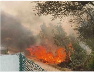 अचानक लगी आग से उठती दिखी आग की लपटें, देखें वीडियो