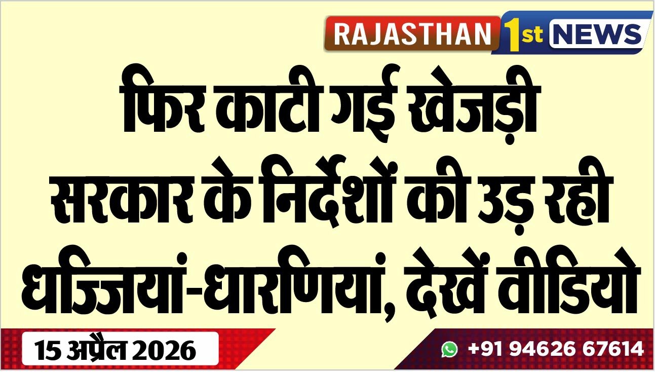 फिर काटी गई खेजड़ी, सरकार के निर्देशों की उड़ रही धज्जियां-धारणियां, देखें वीडियो