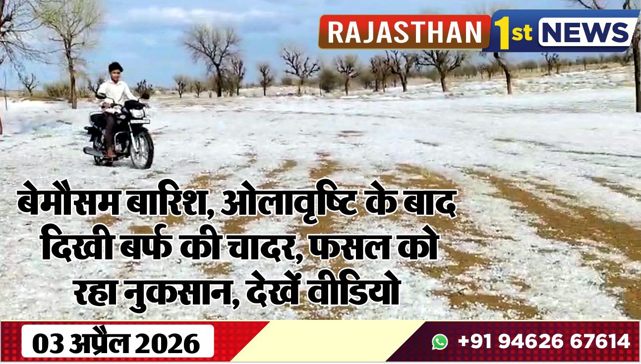 बेमौसम बारिश, ओलावृष्टि के बाद दिखी बर्फ की चादर, फसल को रहा नुकसान, देखें वीडियो