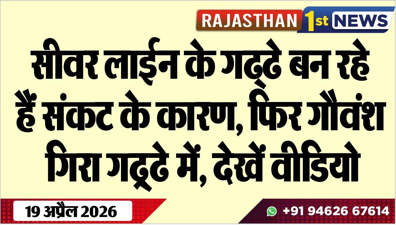 सीवर लाईन के गढ्ढे बन रहे हैं संकट के कारण, फिर गौवंश गिरा गढ्ढे में, देखें वीडियो