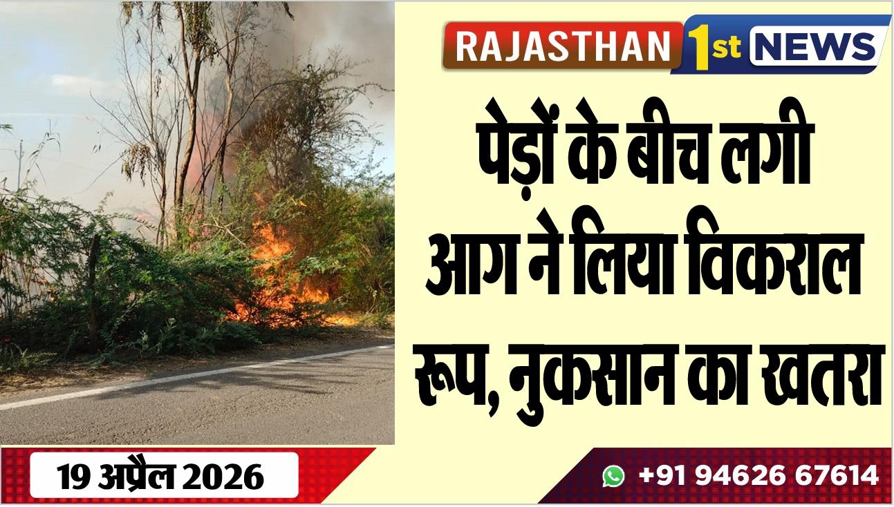 पेड़ों के बीच लगी आग ने लिया विकराल रूप, नुकसान का खतरा