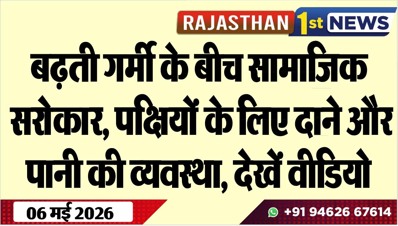 बढ़ती गर्मी के बीच सामाजिक सरोकार, पक्षियों के लिए दाने और पानी की व्यवस्था, देखें वीडियो