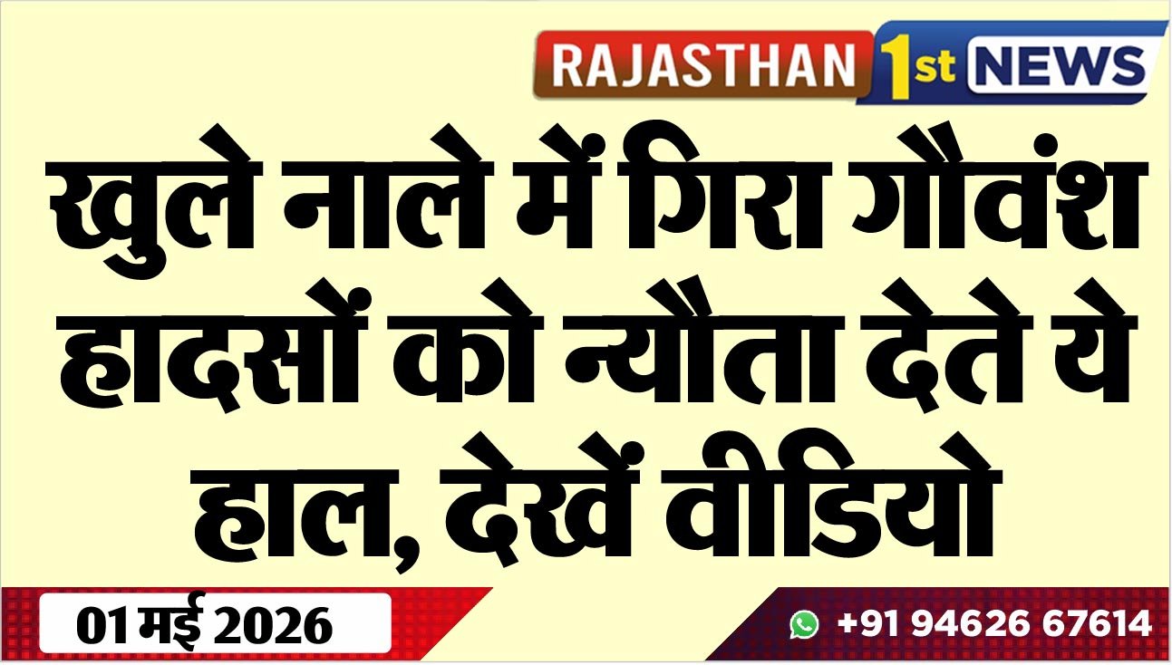 खुले नाले में गिरा गौवंश, हादसों को न्यौता देते ये हाल, देखें वीडियो