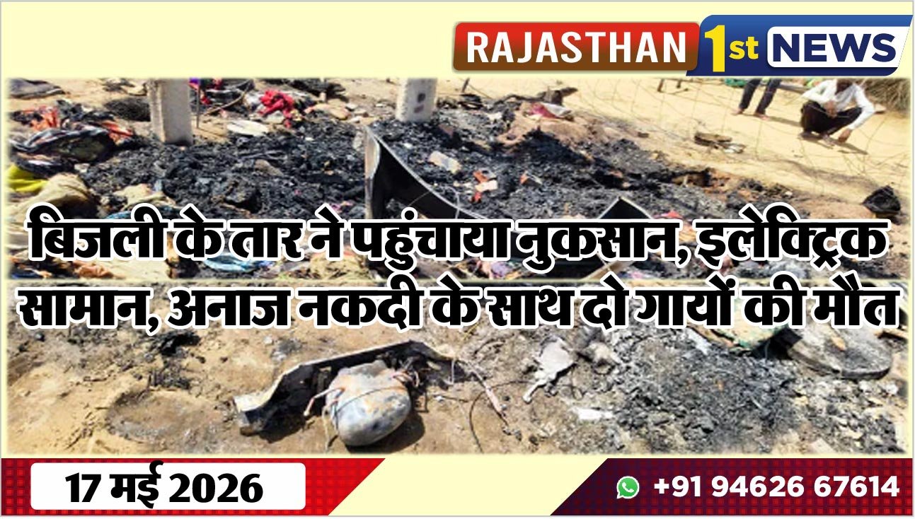 बिजली के तार ने पहुंचाया नुकसान, इलेक्ट्रिक सामान, अनाज नकदी के साथ दो गायों की मौत