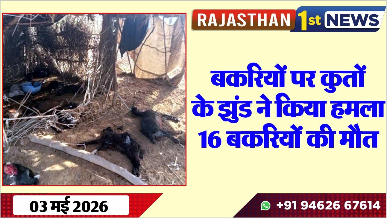 बकरियों पर कुतों के झुंड ने किया हमला, 16 बकरियों की मौत