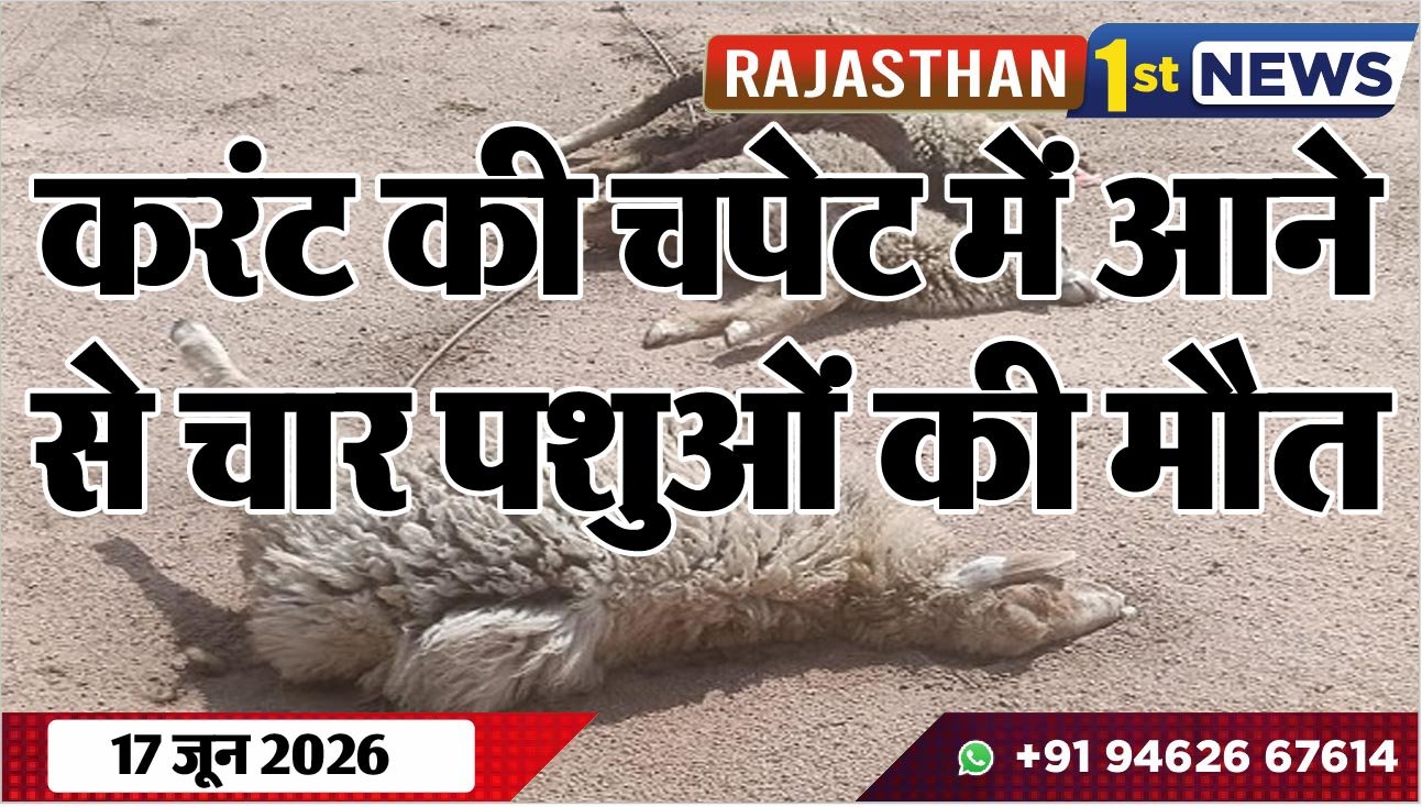 करंट की चपेट में आने से चार पशुओं की मौत